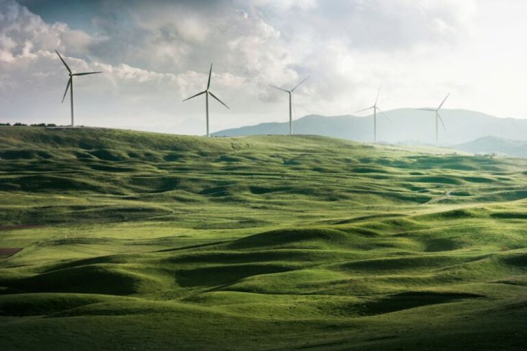 Energy-efficient Appliances - wind turbine surrounded by grass