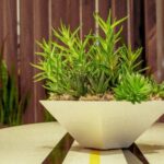 Eco Lighting - green leaf plant in a white vase close-up photography