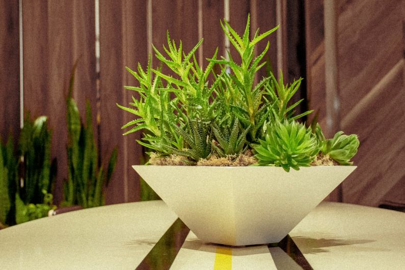 Eco Lighting - green leaf plant in a white vase close-up photography