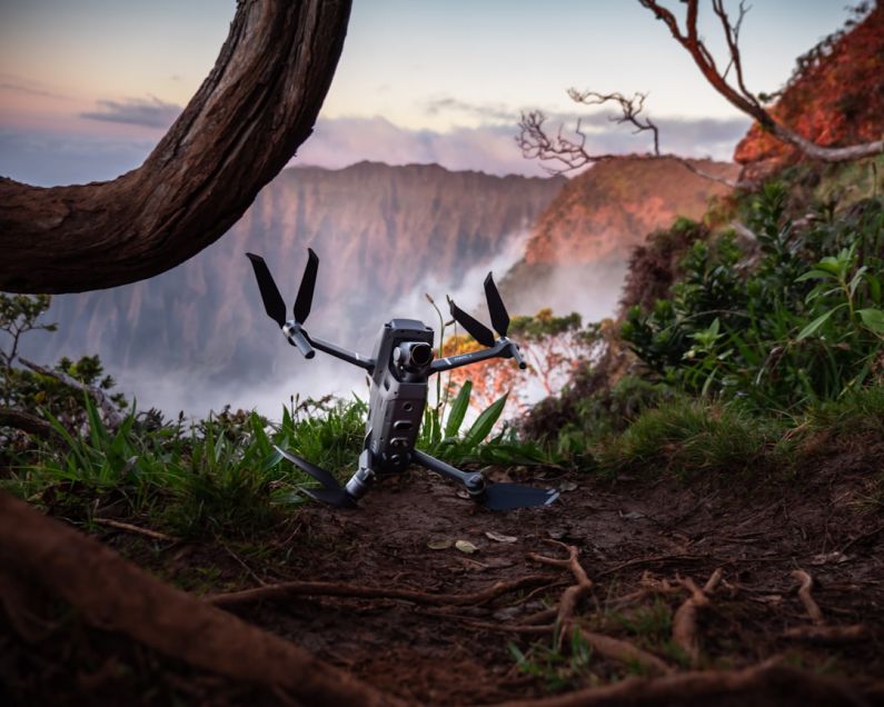 Security Gadgets - gray and black drone near tree roots