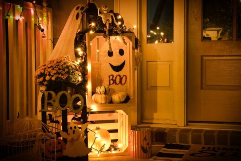 Halloween Decor - pink flower plant inside room