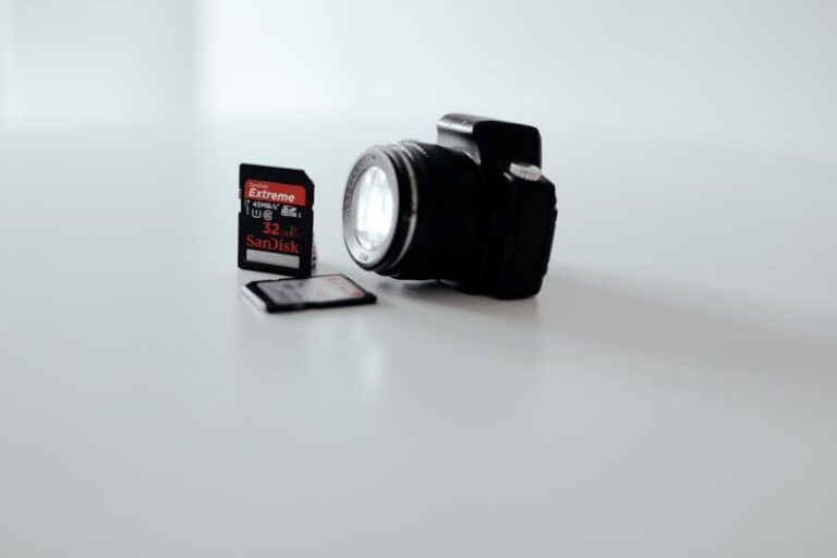 Toy Storage - black and gray Canon DSLR camera with two SD card