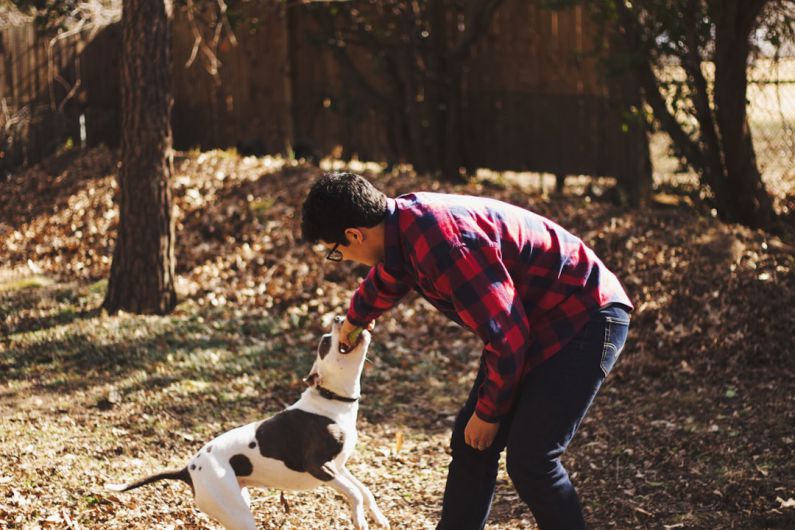 Outdoor Pet - man playing with dog